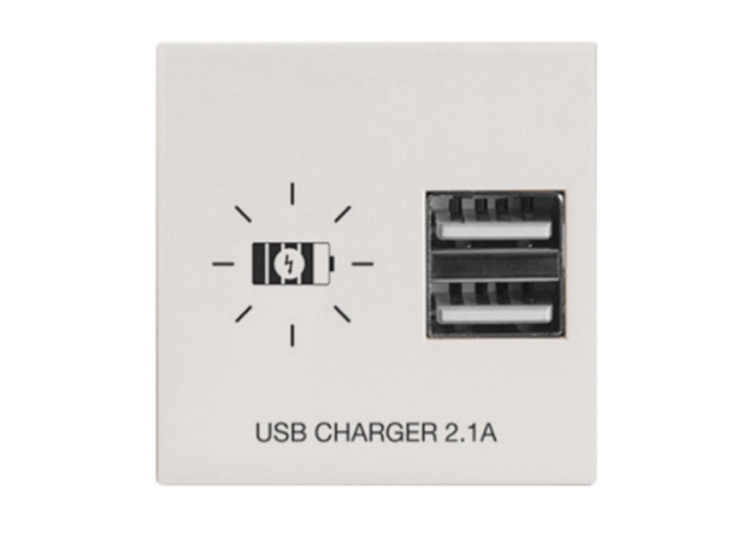 Modulo Cargador 2USB 2.1A 2MOD. Presta Pro